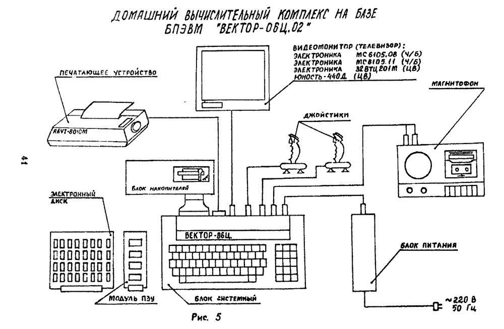 Вектор